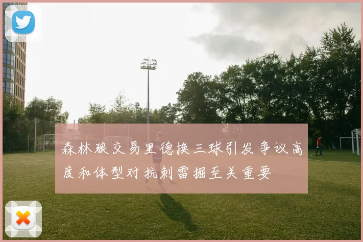 森林狼交易里德换三球引发争议高度和体型对抗刺雷掘至关重要