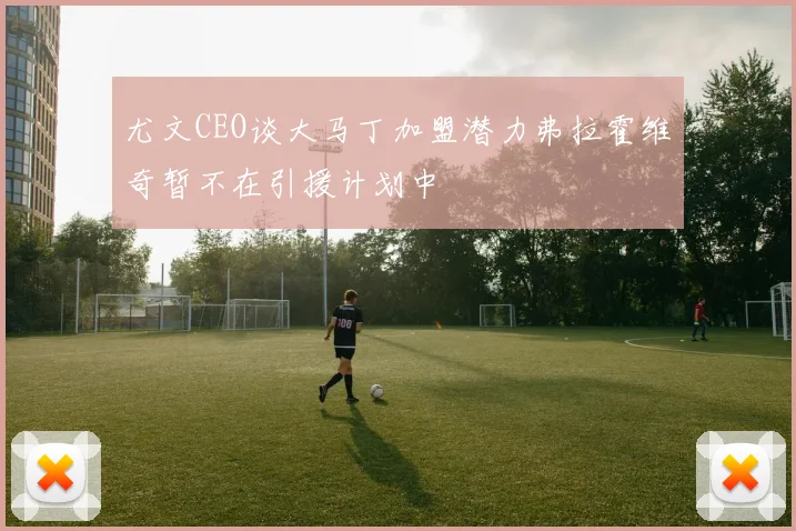 尤文CEO谈大马丁加盟潜力弗拉霍维奇暂不在引援计划中